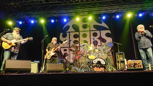 Ein Bild, das Konzert, Musikinstrument, Darbietung, Unterhaltung enth�lt.

Automatisch generierte Beschreibung